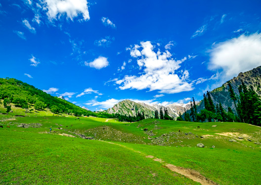 traveldilse-Explore Kashmir